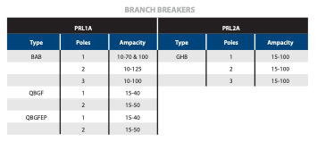 NEMA Type 4X Stainless Steel Dead Front Panelboards